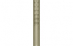 Microfon shotgun Neumann KMR 81 I