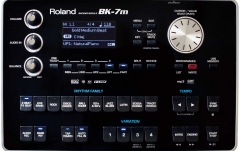 Modul de sunet Roland BK-7m