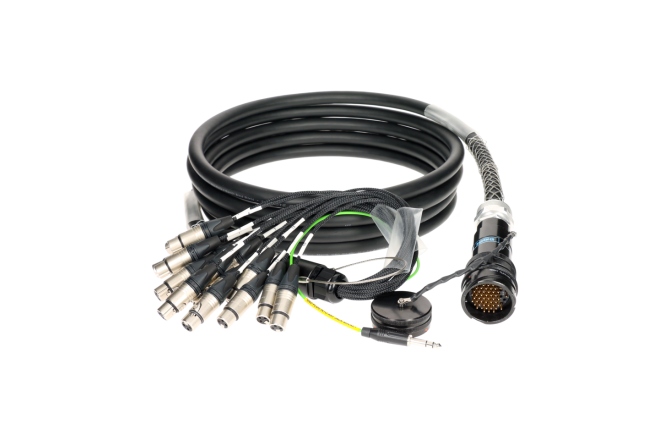 Multicore audio profesional Klotz OmniLIVE - RMP 54p M - 16x XLR F16-channel - digital fanout - PVC - KLOTZ - plastic / ZEP - 3 m