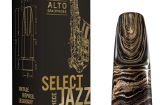 Muştiuc Saxofon Alto Daddario Woodwinds Select Jazz Marble Alto Saxophone Mouthpiece D6M-MB