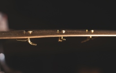 Nituri cinele Meinl Rivet - 3 pcs
