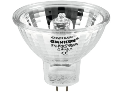 ENH 120V/250W GY-5.3 175h