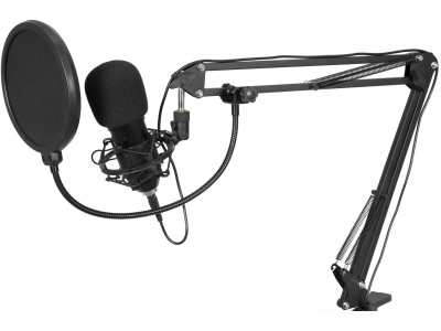 BMS-1C USB Condenser Broadcast Microphone Set