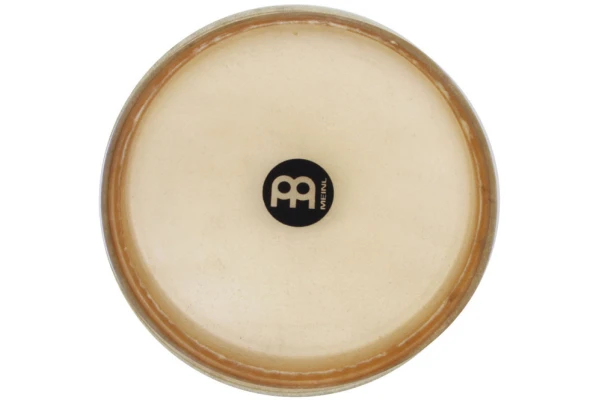 Meinl True Skin conga head - 11" for conga MP11 + FC11 (recent model) — 2