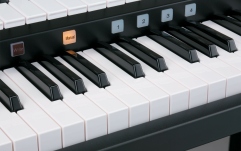 Orga digitala Roland ATELIER AT-75