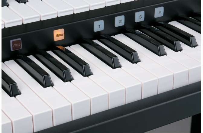 Orga digitala Roland ATELIER AT-75