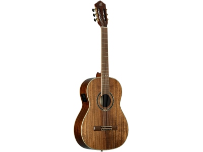 30th A. Series 4/4 Nylon String Guitar 6 String + Bag