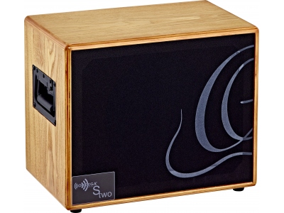 Acoustic Amplification Speaker Cabinet - 150W/4 OHM 8