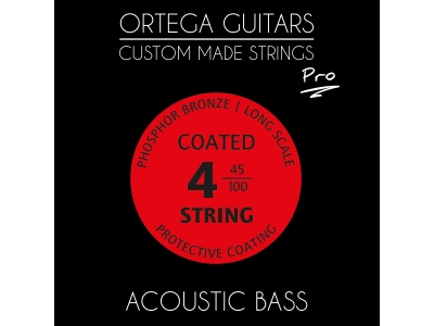 Corzi custom 