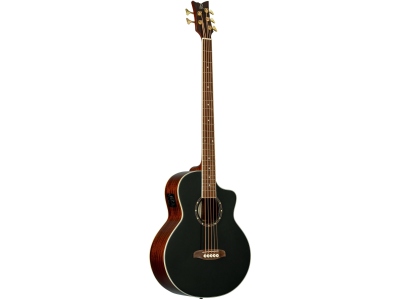 Deep Series 8 Acoustic Bass 5 String