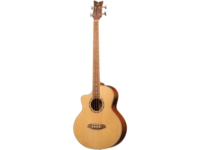 Deep Series Acoustic Bass 4-String Lefty - Medium Scale