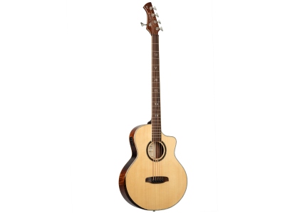 Signature Series Acoustic Bass 5-String - Natural + Gig Bag KTSM2-5
