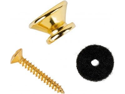 Strap pins (pair) incl. washer & screw - Gold
