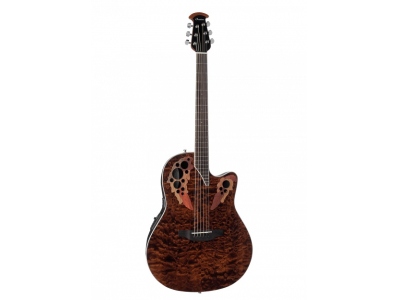 Celebrity Elite Plus CE48P-TGE-G