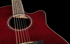 Ovation Celebrity Standard CS24-RR
