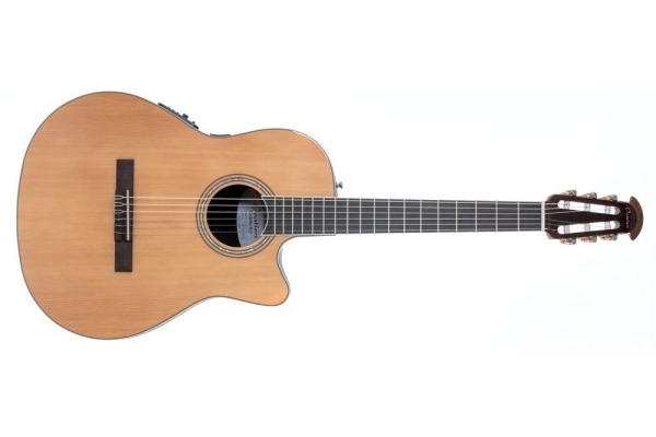 Celebrity Standard CS24C-4-G Celebrity Standard CS24C-4-G