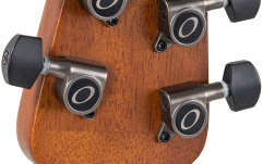 Ovation Celebrity Traditional Plus CS24P-ABLKW-G