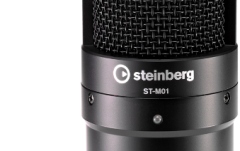 Pachet înregistrări Steinberg IXO 22 Recording Pack