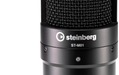 Pachet podcast / înregistrări Steinberg IXO12 B Podcast Pack