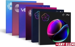 Pachet producție audio iZotope Everything Bundle Software Bundle (Download)