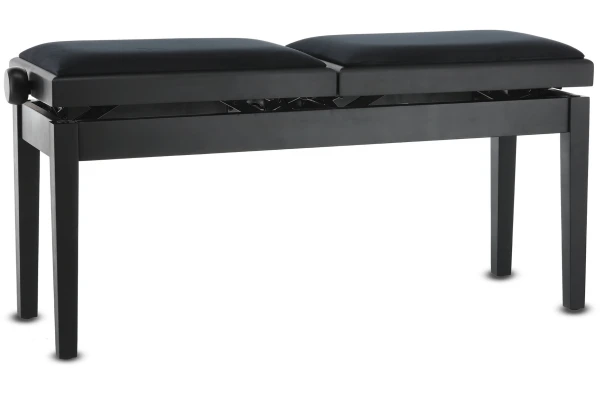 Gewa Deluxe Double Black Matt — 2