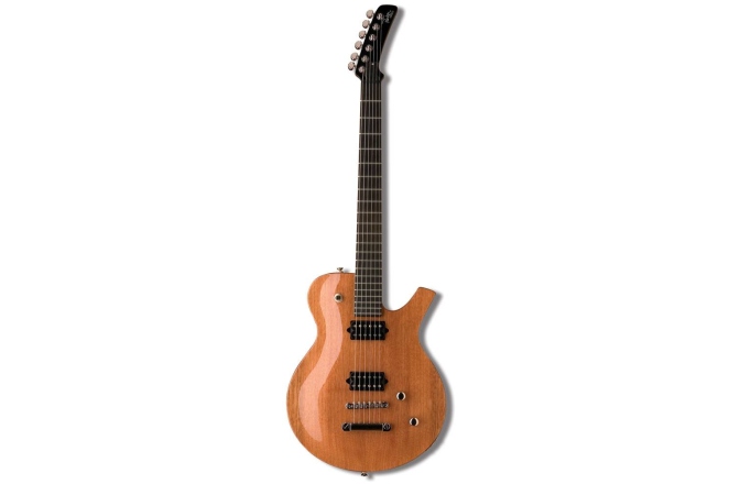 Parker Guitars PM10