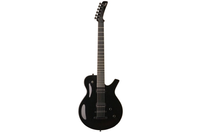 Parker Guitars PM10