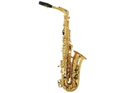 6430L Alto Sax
