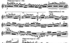 Partituri vioară Schott Orchester Probespiel Violin