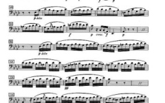 Partituri violoncel Schott Probespiel Violoncello