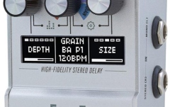 Pedală de delay Walrus Audio MAKO D1 MKII