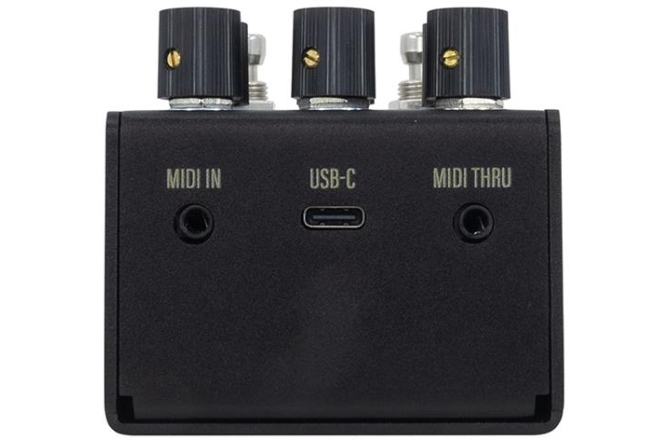 Pedală de reverb Walrus Audio MAKO R1 MKII