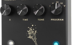 Pedală Delay granular Walrus Audio Fable (Black)