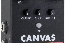 Pedală redare audio Bluetooth/Aux Walrus Audio Canvas Rehearsal
