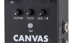 Pedală redare audio Bluetooth/Aux Walrus Audio Canvas Rehearsal