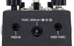 Pedală redare audio Bluetooth/Aux Walrus Audio Canvas Rehearsal