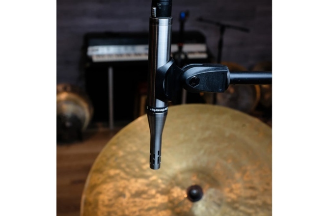 Pereche microfoane overhead<br /> Earthworks SR25mp