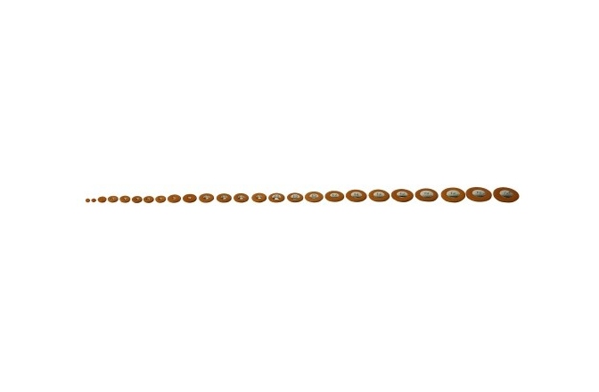 Periniță pentru saxofon  Pisoni Periniță Alto Sax Set Brown