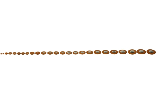 Periniță pentru saxofon 14,5 mm Periniță pentru saxofon 14,5 mm
