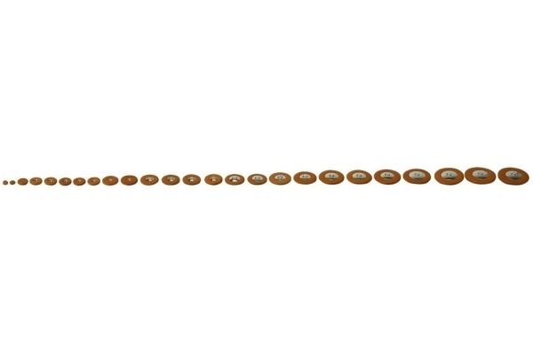 Periniță pentru saxofon 32,5 mm Periniță pentru saxofon 32,5 mm