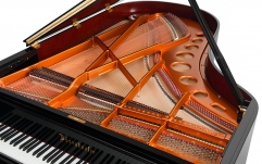 Pian acustic premium Bösendorfer Grand Piano 200