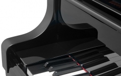 Pian acustic premium Bösendorfer Grand Piano 225