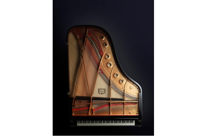 Pian Acustic Yamaha S6X