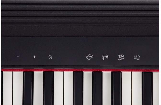Pian digital Roland Go Piano
