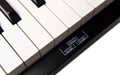 Pian digital 88 clape grele Orla PF-300 Black