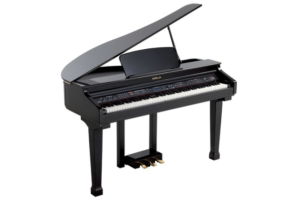 GRAND 120 Black with Fatar keyboard