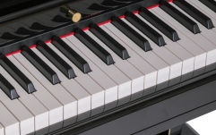 Pian digital cu coadă Orla GRAND 500 Black with Fatar keyboard