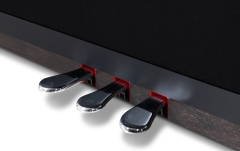 Pian digital  Georg Rieger  UP 405 Rosewood