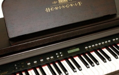 Pian digital Hemingway DP-501 RW