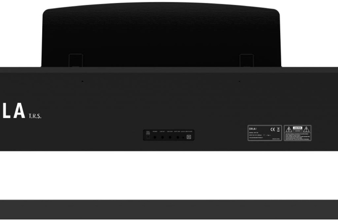 Pian digital Orla CDP-102 Rosewood